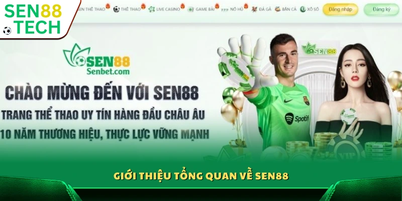 Giới thiệu sen88 - Tổng quan chung về nền tảng