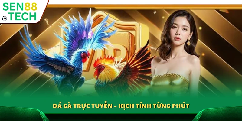 Đá gà online – Căng thẳng từng giây