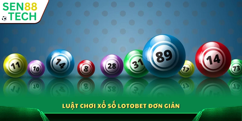 Quy tắc chơi Lotobet dễ hiểu